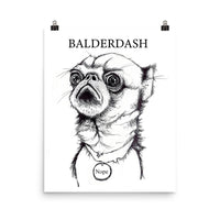 Balderdash Photo paper poster